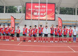 内格雷拉案对西甲联赛影响深远的商业价值分析